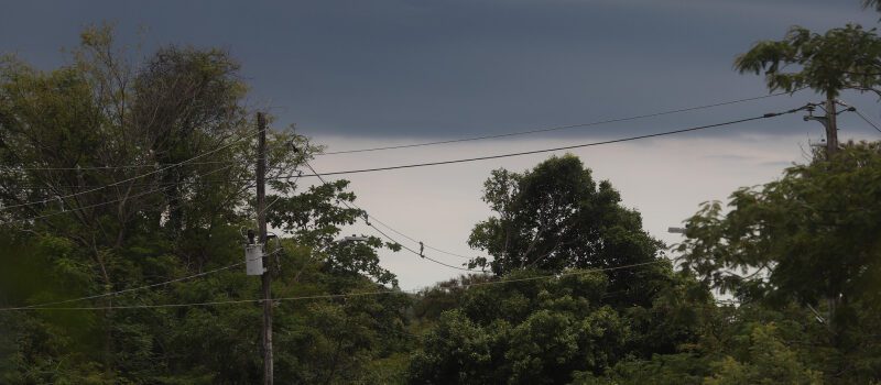⛈️ ALERTA DE CHUVAS INTENSAS EM MINAS GERAIS! ⛈️