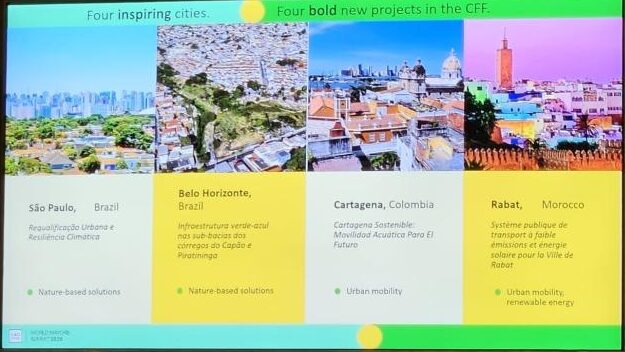 PBH recebe prêmio internacional com projeto para enfrentamento do calor e inundações