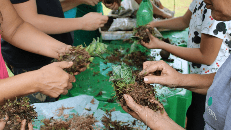 Junho Verde: Betim Celebra Mês do Meio Ambiente com Programação Especial