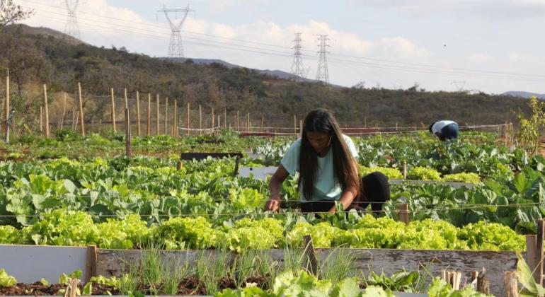 PBH participa ativamente da 15ª Feira de Agricultura Familiar de Minas Gerais