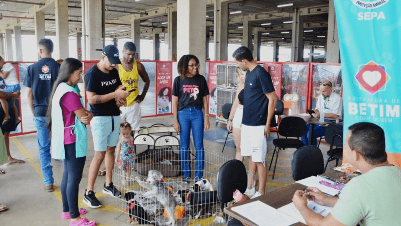 Betim em Ação: Quatro Eventos de Adoção de Cães e Gatos em Junho