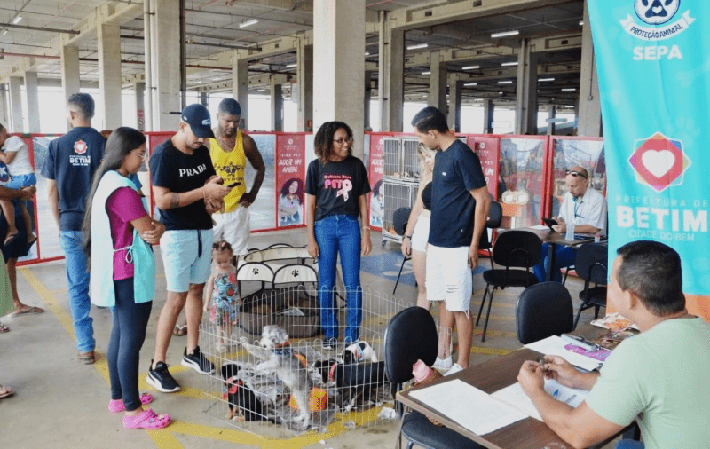 Betim em Ação: Quatro Eventos de Adoção de Cães e Gatos em Junho