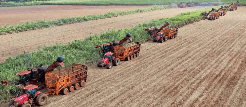 Governo de Minas Divulga Estudo Sobre Comércio Exterior do Agronegócio