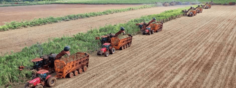 Governo de Minas Divulga Estudo Sobre Comércio Exterior do Agronegócio