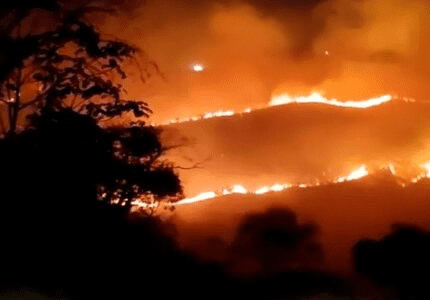 Governo de Minas apresenta medidas para combate aos incêndios florestais no período seco