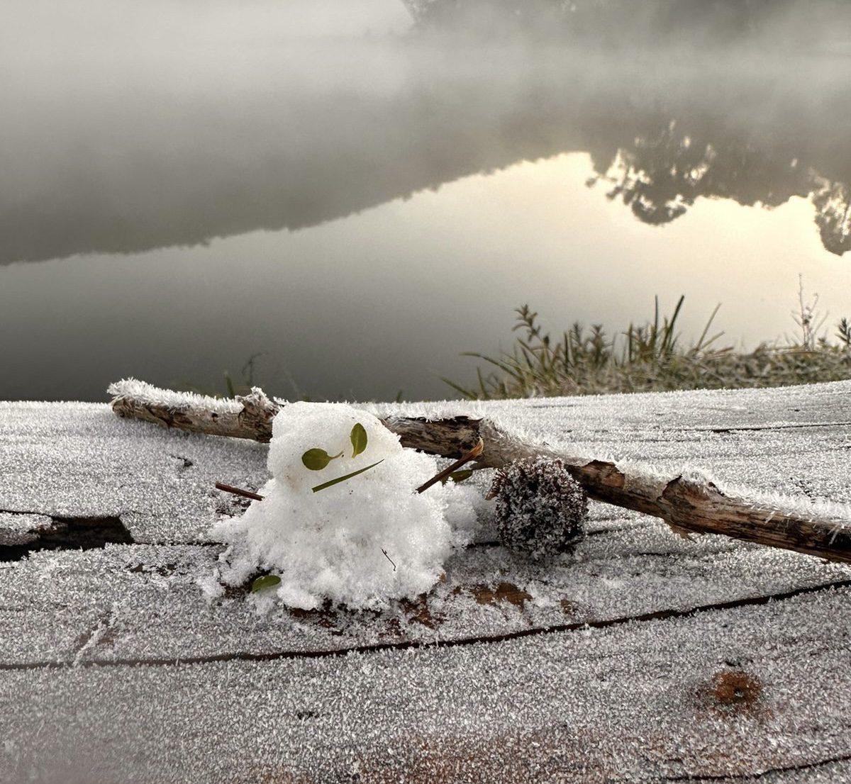 Geadas Intensificam o Frio no Sul de Minas com Madrugada de Temperaturas Negativas