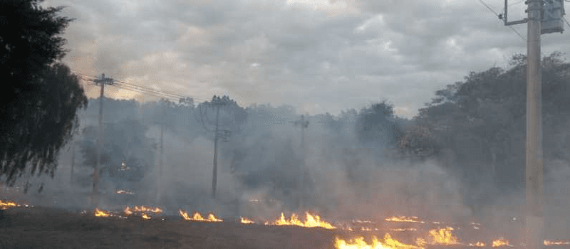 Cemig alerta sobre riscos de queimadas na vegetação após queima de equipamentos e rompimento de cabos