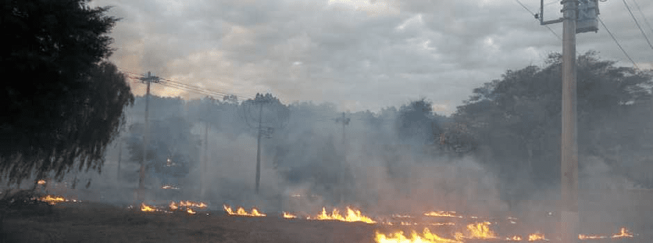 Cemig alerta sobre riscos de queimadas na vegetação após queima de equipamentos e rompimento de cabos