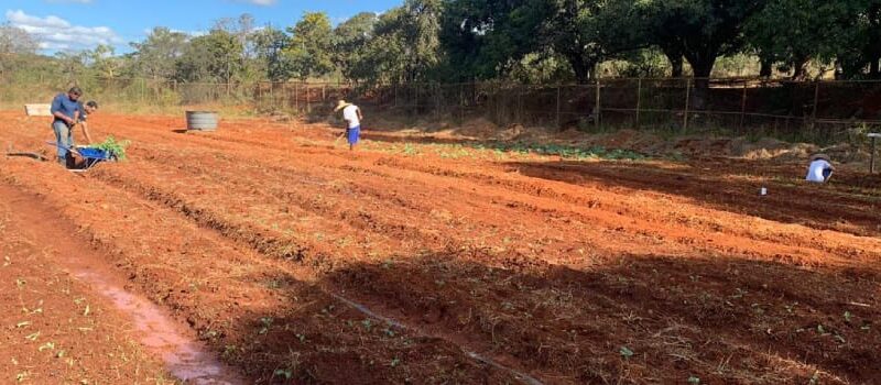 Jovens do Socioeducativo de Sete Lagoas Doam Mais de Uma Tonelada de Alimentos a Instituições Beneficentes