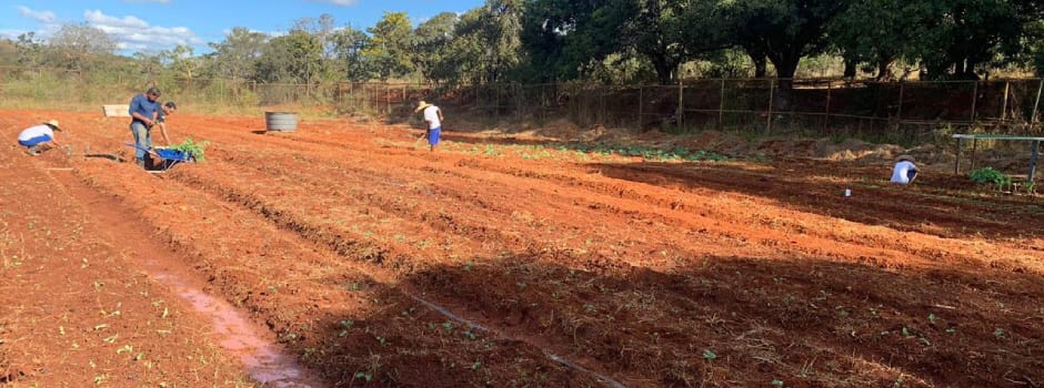 Jovens do Socioeducativo de Sete Lagoas Doam Mais de Uma Tonelada de Alimentos a Instituições Beneficentes