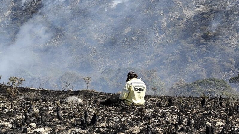 Incêndio Destrói Vegetação na Serra do Cipó, MG