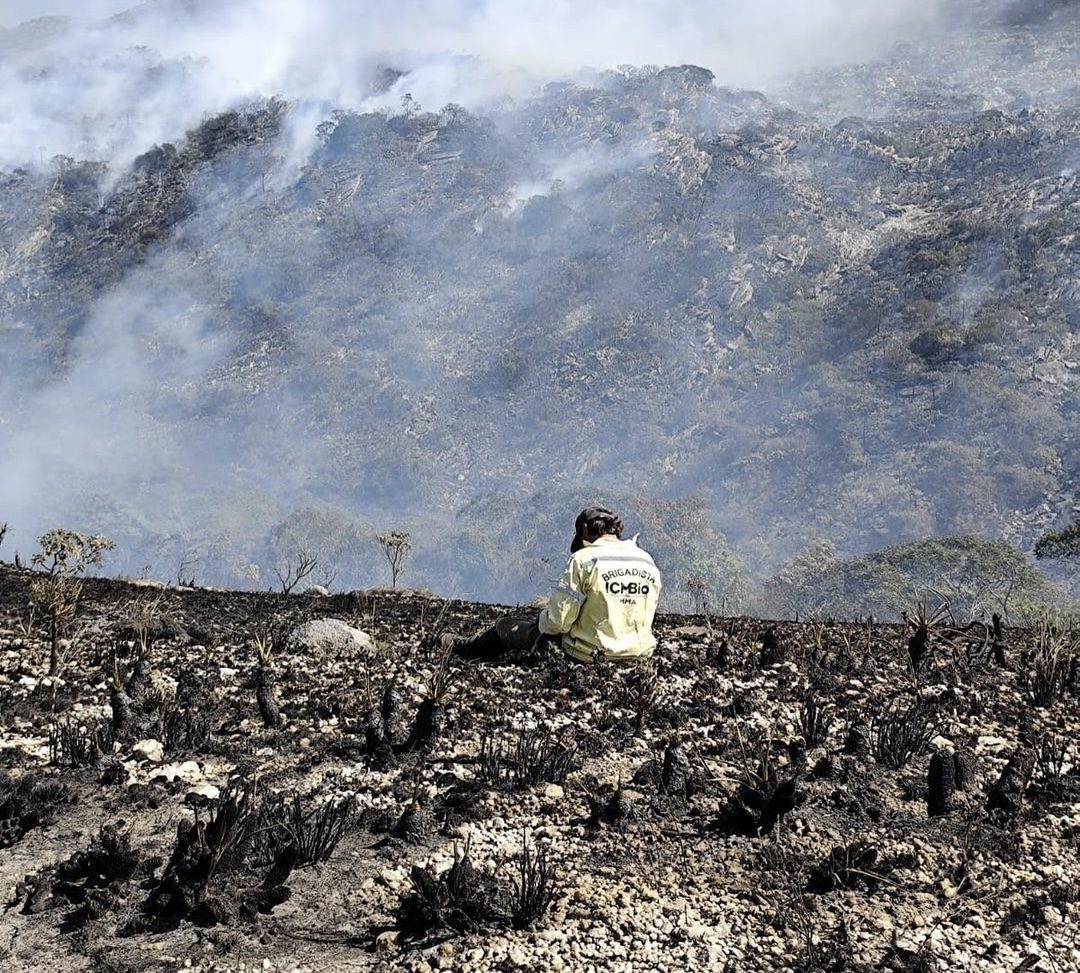 Incêndio Destrói Vegetação na Serra do Cipó, MG