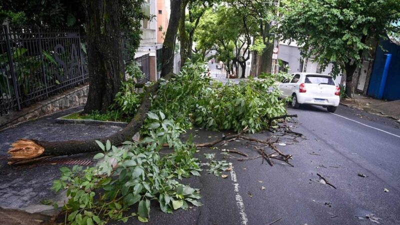 Mais de 100 cidades de MG estão em alerta para ventos fortes