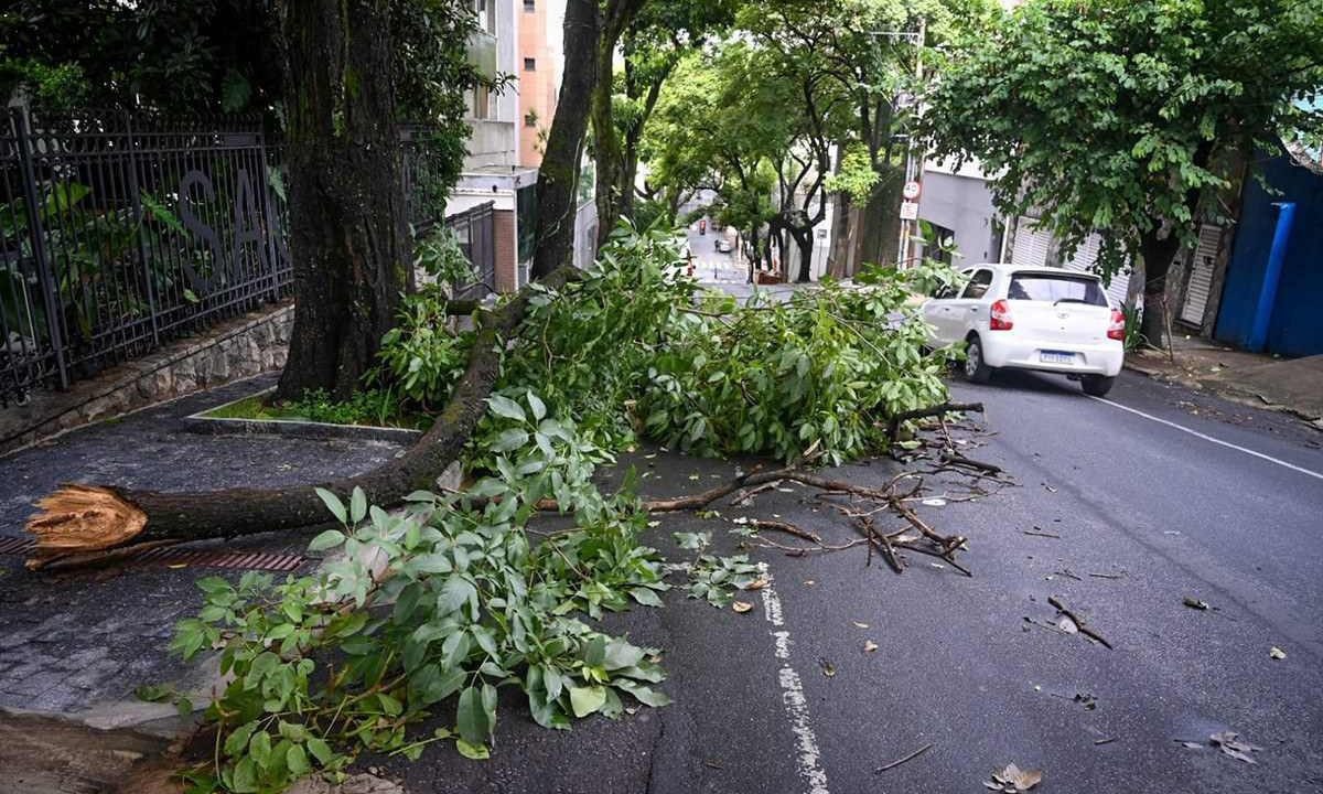 Mais de 100 cidades de MG estão em alerta para ventos fortes