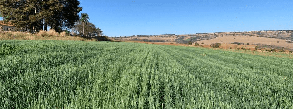 Agronomia e Zootecnia Lideram Submissões em Edital de Inovação em Minas