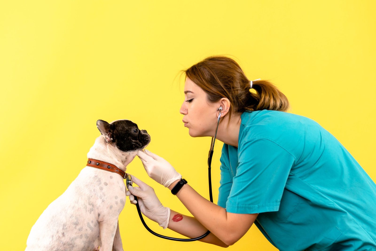 Minas Gerais amplia os serviços de saúde para pets com o Programa Estadual de Saúde Básica Animal