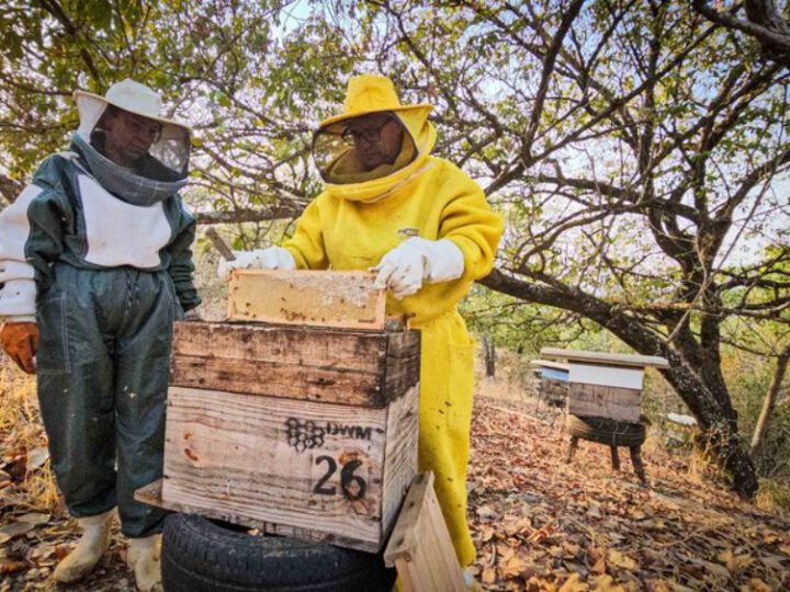 Governo de Minas entrega kits de apicultura, impulsionando a produção de mel no estado