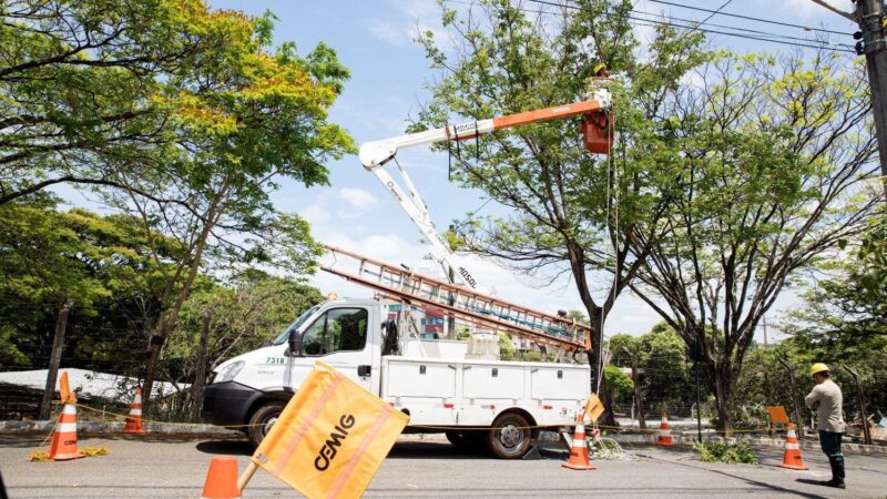 Tecnologia é aliada da Cemig na realização de mais de 300 mil podas preventivas de árvores em todo o estado