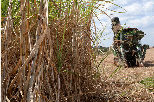 Propostas classificadas em premiação da ALMG focam em agricultura mais sustentável