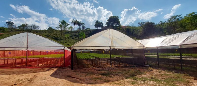 Programa Fomento Agro repassou mais de 35 mil itens para produção agropecuária em Brumadinho