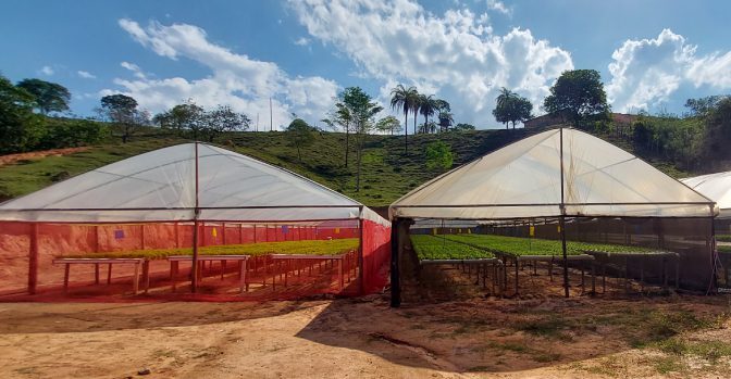 Programa Fomento Agro repassou mais de 35 mil itens para produção agropecuária em Brumadinho